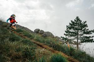 BIB: 
                            <button type="button" onclick="openModal(25996560)" class="btn btn-primary btn-sm float-right btn-popup" data-toggle="modal" data-target=".modal-high-quality">
                        <i class="fas fa-shopping-cart"></i> Add to Cart
                    </button>
                                            <button type="button" onclick="isThisMe(25996560, true)" class="btn btn-success btn-sm float-right btn-popup btn-isme hidden" data-toggle="tooltip" data-placement="bottom" title="นี่คือรูปของคุณใช่ไหม คลิกที่นี่เพื่อเอาเข้าอัลบั้ม">
                        <i class="fas fa-plus"></i> Add to album
                    </button>
                    <button type="button" onclick="isThisMe(25996560, false)" class="btn btn-warning btn-sm float-right btn-popup btn-isnotme hidden">
                        <i class="fas fa-ban"></i> Remove from album
                    </button>